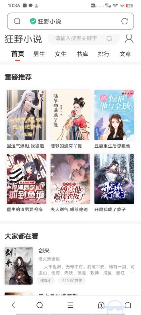 狂野小说cms网站源码带管理后台手机端和采集-洋葱分享库 狂野小说cms网站源码带管理后台手机端和采集-洋葱分享库
