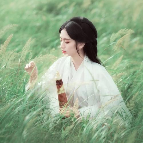 a1111-洋葱分享库