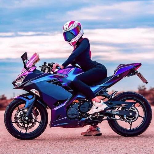 LT503453825-洋葱分享库