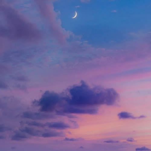 q650880-洋葱分享库