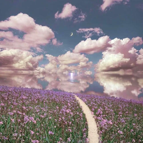 qwaszx-洋葱分享库