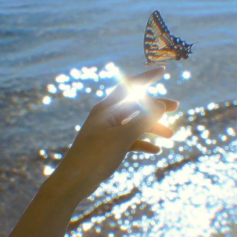 zx123580-洋葱分享库