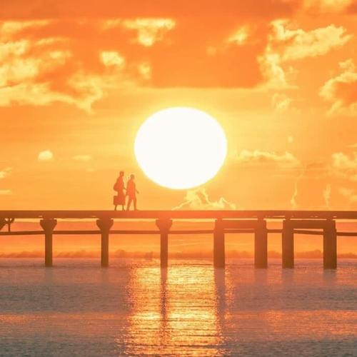 tckrnncmf-洋葱分享库