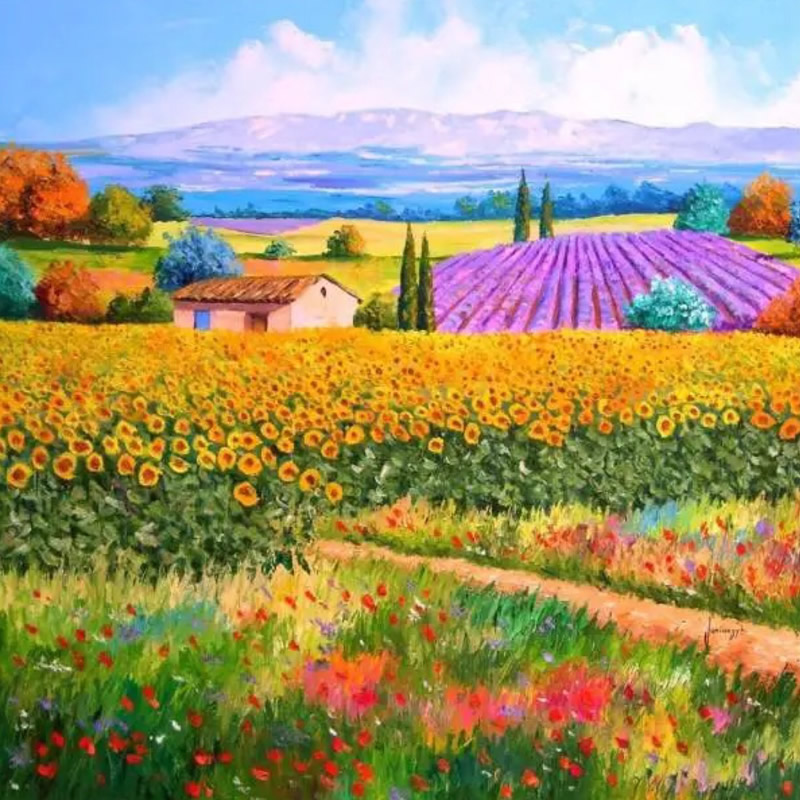 456258555l-洋葱分享库