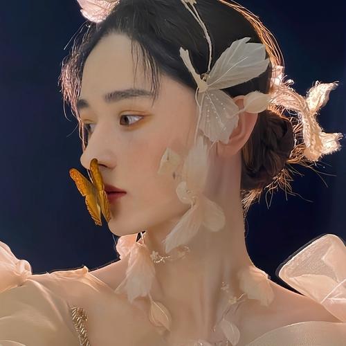 扶桑之伤-洋葱分享库