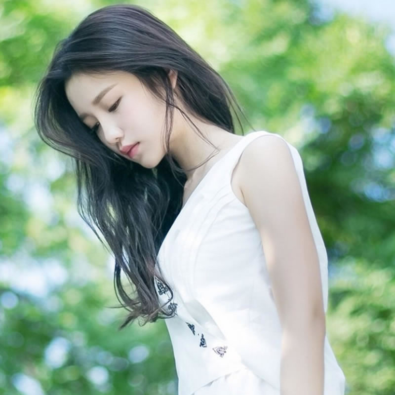 若冰-洋葱分享库