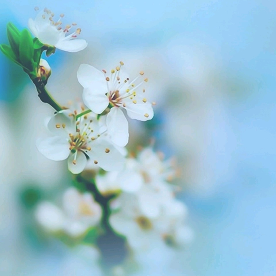 147258369zm-洋葱分享库