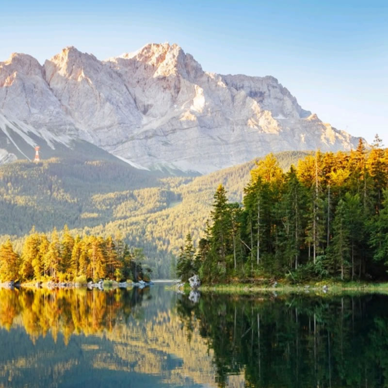 张学友-洋葱分享库