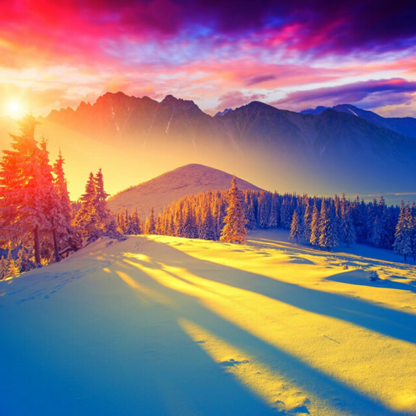 kaisa09-洋葱分享库