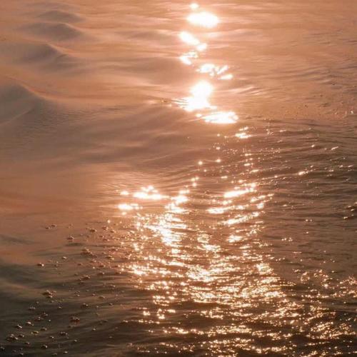 wjb6664-洋葱分享库