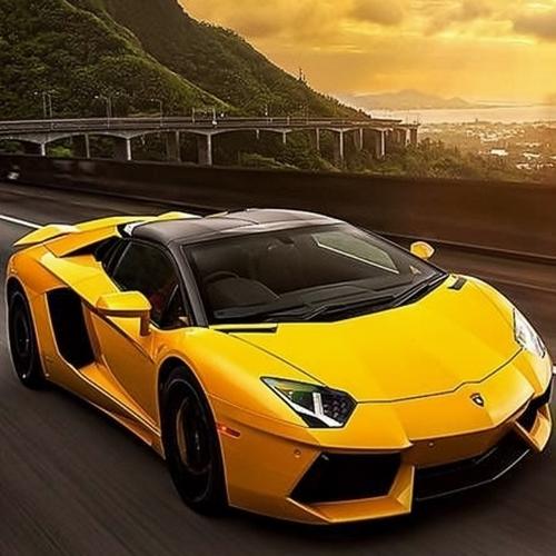 A1ss1A-洋葱分享库