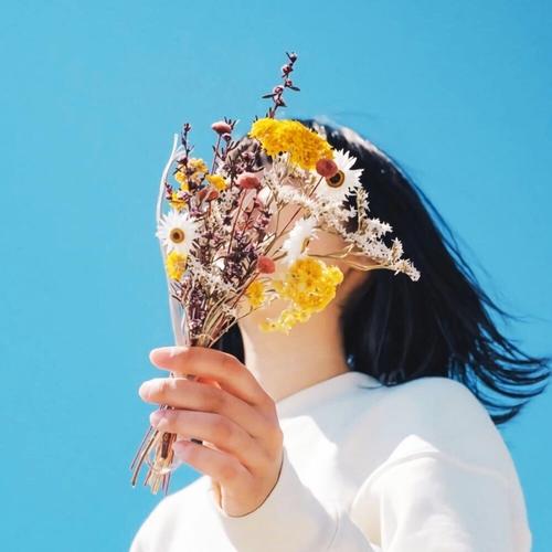 yemeng-洋葱分享库