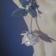 yffyff-洋葱分享库